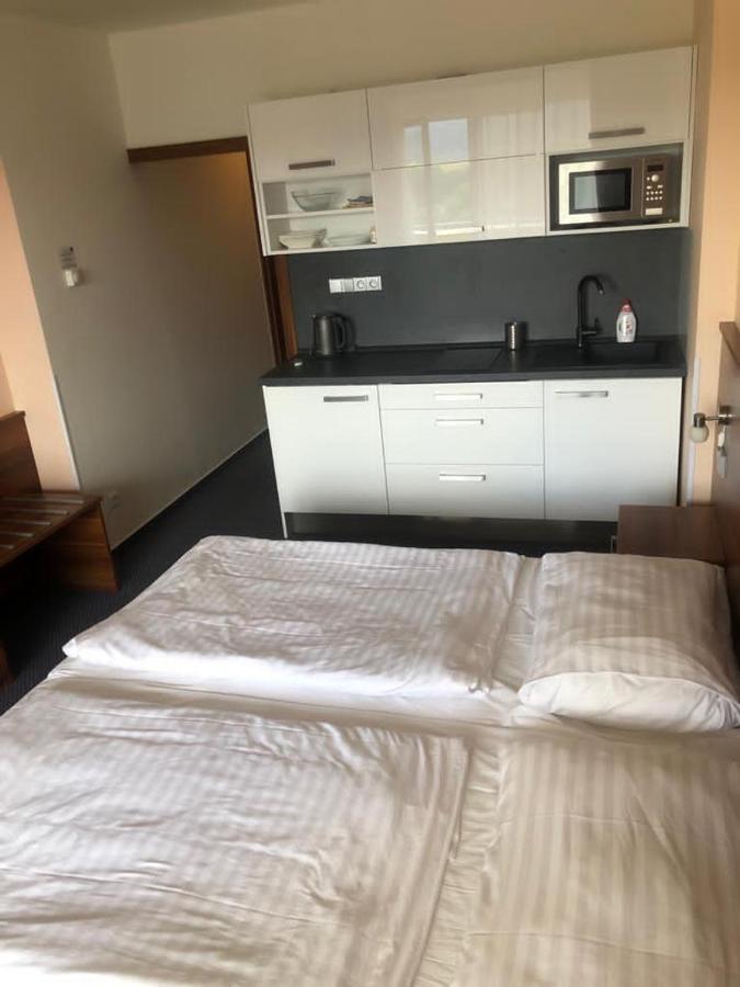 Apartmany Wellness フリンブルク エクステリア 写真